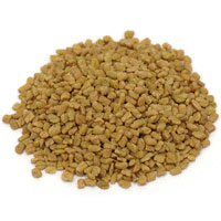 Fenugreek Seed (Trigonella foenum) 1 Oz. Package